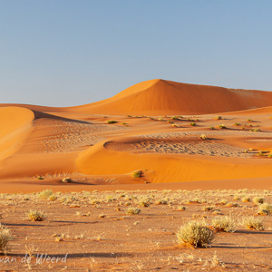 2007-08-10 - Warm orajnge duinen<br/>Sossusvlei - Sesriem - Namibie<br/>Canon EOS 30D - 41 mm - f/11.0, 1/60 sec, ISO 200