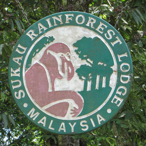2009-08-19 - Onze lodge bij de neusapen<br/>Sukau Rainforest Lodge - Kinabatangan River - Maleisië (Borneo)<br/>Canon PowerShot SX1 IS - 30.1 mm - f/4.5, 1/160 sec, ISO 200