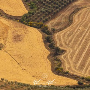 2023-05-02 - Het gezicht<br/>Villanueva de la Concepción - Spanje<br/>Canon EOS R5 - 263 mm - f/7.1, 1/400 sec, ISO 200