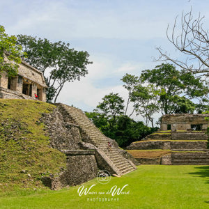 2008-07-18 - Strakke grasvelden bij nog meer tempels<br/>Maya-ruine Palenque - Palenque - Mexico<br/>Canon EOS 30D - 18 mm - f/16.0, 1/60 sec, ISO 100
