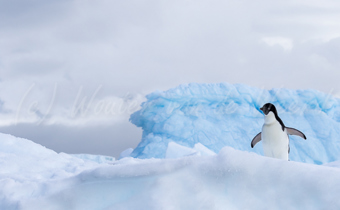 Antarctica Grand Tour