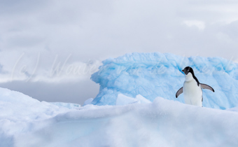 Antarctica Grand Tour
