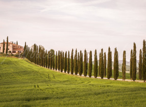 Italië - Toscane en Umbrië (2013)