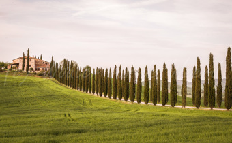 Italië - Toscane en Umbrië (2013)