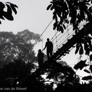 2009-08-21 - Wouter en gids op de hangbrug<br/>Borneo Rainforest Lodge - Danum Valley - Maleisië (Borneo)<br/>Canon PowerShot SX1 IS - 20.4 mm - f/4.5, 1/1000 sec, ISO 80