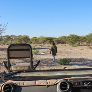 2024-05-06 - Onze wild-spotter op zoek naar leeuwensporen<br/>Deception Valley Lodge - Central Kalahari Game Reserve - Botswana<br/>Canon PowerShot SX70 HS - 8.8 mm - f/4.5, 1/800 sec, ISO 100