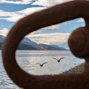 2016-12-18 - aanstormende eenden<br/>Ushuaia - Argentinië<br/>Canon EOS 5D Mark III - 60 mm - f/8.0, 1/200 sec, ISO 200