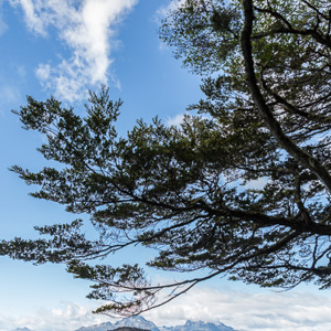 2016-12-19 - De trail loopt grotendeels langs het water<br/>Parque Nacional Tierra del Fuego - Ushuaia - Argentinië<br/>Canon EOS 5D Mark III - 24 mm - f/5.0, 1/500 sec, ISO 400