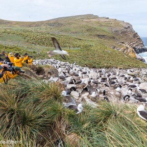 2016-12-22 - Zo stonden we allemaal op een rijtje, vlakbij de vogels<br/>West Point Island - Falkland eilanden - Verenigd Koninkrijk<br/>Canon EOS 5D Mark III - 16 mm - f/11.0, 1/125 sec, ISO 200