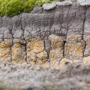 2016-12-22 - Onderweg naar de zodiacs, mooie lagen en kleuren<br/>West Point Island - Falkland eilanden - Verenigd Koninkrijk<br/>Canon EOS 7D Mark II - 100 mm - f/5.6, 1/1000 sec, ISO 400