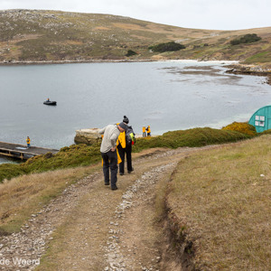 2016-12-22 - De steiger waar we makkelijk de zodiac in en uit konden<br/>West Point Island - Falkland eilanden - Verenigd Koninkrijk<br/>Canon EOS 5D Mark III - 35 mm - f/8.0, 1/400 sec, ISO 200