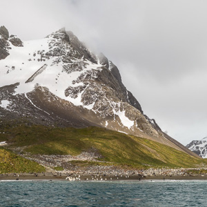 2016-12-26 - Wat een prachtig landschap<br/>Right Whale Bay - Zuid-Georgia - Verenigd Koninkrijk<br/>Canon EOS 5D Mark III - 38 mm - f/8.0, 1/500 sec, ISO 400