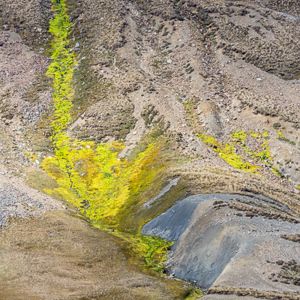 2016-12-27 - Prachtige kleuren in het landschap<br/>Stromness - Zuid-Georgia<br/>Canon EOS 7D Mark II - 285 mm - f/5.6, 1/1250 sec, ISO 500