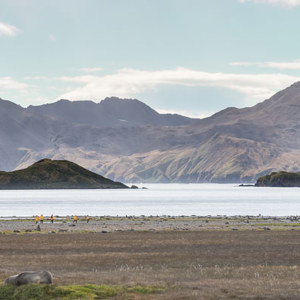 2016-12-27 - Uitzicht op de baai van Stromness vanuit het land gezien<br/>Stromness - Zuid-Georgia<br/>Canon EOS 7D Mark II - 100 mm - f/5.0, 1/1250 sec, ISO 200
