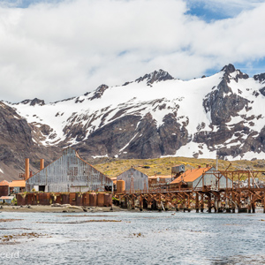 2016-12-27 - Opruimen is te duur, en het is intussen historisch erfgoed gewor<br/>Stromness - Zuid-Georgia<br/>Canon EOS 5D Mark III - 45 mm - f/8.0, 1/500 sec, ISO 400