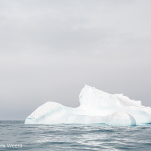 2016-12-28 - Onze eerste echte grote ijsberg van dichtbij<br/>Gold Harbour - Zuid-Georgia<br/>Canon EOS 5D Mark III - 51 mm - f/8.0, 1/500 sec, ISO 400