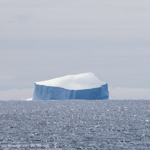 2016-12-31 - Enome ijsberg<br/>Op zee naar Antarctica - Zuidelijke Atlantische Oceaan<br/>Canon EOS 7D Mark II - 400 mm - f/6.3, 1/2500 sec, ISO 200