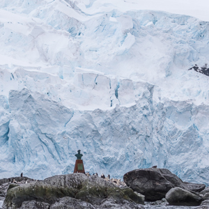 2017-01-01 - Buste van de Chileense kapitein van het reddingsschip<br/>Point Wild - Elephant Island - Antarctica<br/>Canon EOS 7D Mark II - 105 mm - f/5.0, 1/2000 sec, ISO 400