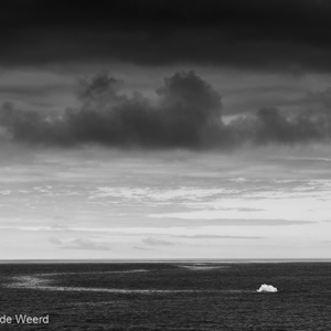 2017-01-01 - Floating ice<br/>Bransfield Strait - Antarctica<br/>Canon EOS 5D Mark III - 70 mm - f/8.0, 1/640 sec, ISO 200