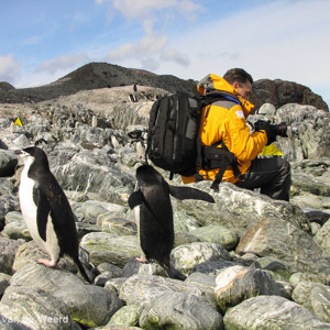2017-01-01 - Gewoon gaan zitten en wachten tot de pinguïns langs komen lopen<br/>Chinstrap Camp - Elephant Island - Antarctica<br/>Canon PowerShot SX1 IS - 9.4 mm - f/4.0, 1/1000 sec, ISO 80