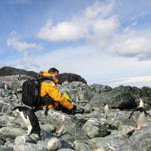 2017-01-01 - Met de groothoeklens proberen een originele foto te maken<br/>Chinstrap Camp - Elephant Island - Antarctica<br/>Canon PowerShot SX1 IS - 5.7 mm - f/4.0, 1/1000 sec, ISO 80