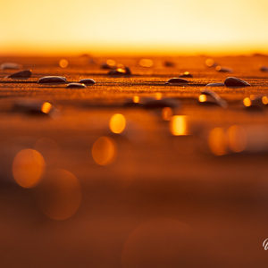 2023-09-09 - Steentjes en bokeh<br/>Reynisfjara - Vík - IJsland<br/>Canon EOS R5 - 300 mm - f/5.0, 1/2000 sec, ISO 800