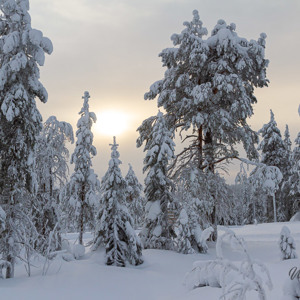 2011-02-07 - Waterig zonnetje<br/>Iso Syöte - Finland<br/>Canon EOS 7D - 24 mm - f/8.0, 1/160 sec, ISO 200