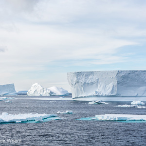 2017-01-02 - Enorme ijsbergen drijven in zee<br/>Bransfield Strait - Antarctica<br/>Canon EOS 5D Mark III - 70 mm - f/8.0, 1/640 sec, ISO 200