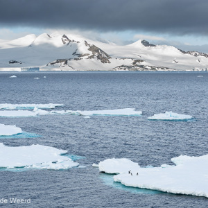 2017-01-02 - Ijsbergen met een viertal pinguïns<br/>Bransfield Strait - Antarctica<br/>Canon EOS 5D Mark III - 70 mm - f/8.0, 1/250 sec, ISO 200