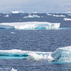 2017-01-02 - Niet alleen prachtige ijsbergen, ook nog met pinguïns erop<br/>Bransfield Strait - Antarctica<br/>Canon EOS 5D Mark III - 200 mm - f/8.0, 1/400 sec, ISO 200