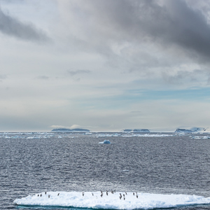 2017-01-02 - Niet alleen prachtige ijsbergen, ook nog met pinguïns erop<br/>Bransfield Strait - Antarctica<br/>Canon EOS 5D Mark III - 70 mm - f/8.0, 1/800 sec, ISO 200