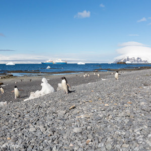 2017-01-02 - Het rostachtige strand<br/>Brown Bluff - Antarctica<br/>Canon EOS 5D Mark III - 27 mm - f/11.0, 1/500 sec, ISO 400