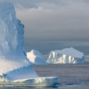 2017-01-02 - Enorme ijsbergen in avondlicht<br/>Bransfield Strait - Antarctica<br/>Canon EOS 5D Mark III - 200 mm - f/5.6, 1/640 sec, ISO 200
