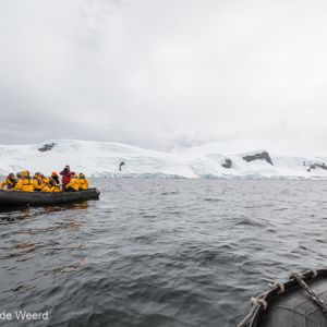 2017-01-03 - Met de zodiac cruise walvissen spotten<br/>Mikkelsen Harbor - D’Hainaut Island - Antarctica<br/>Canon EOS 5D Mark III - 16 mm - f/8.0, 1/800 sec, ISO 400