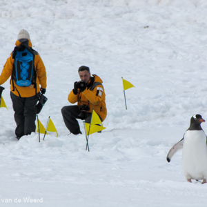 2017-01-03 - Wouter bij de pinguïn highway<br/>Mikkelsen Harbor - D’Hainaut Island - Antarctica<br/>Canon PowerShot SX1 IS - 88.2 mm - f/6.3, 1/1000 sec, ISO 80