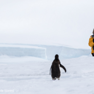 2017-01-03 - Carin in een wondere witte wereld<br/>Mikkelsen Harbor - D’Hainaut Island - Antarctica<br/>Canon EOS 7D Mark II - 300 mm - f/8.0, 1/2000 sec, ISO 400