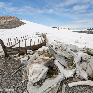 2017-01-03 - Overblijfselen van de walvisvaart<br/>Mikkelsen Harbor - D’Hainaut Island - Antarctica<br/>Canon EOS 5D Mark III - 16 mm - f/11.0, 1/640 sec, ISO 400