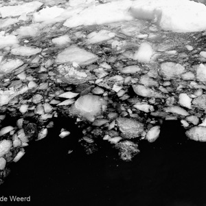 2017-01-03 - Pakijs in zwart-wit<br/>Cierva Cove - Antarctica<br/>Canon EOS 5D Mark III - 27 mm - f/8.0, 1/125 sec, ISO 200