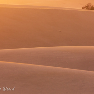 2021-10-26 - Net voor zonsondergang<br/>Las Dunas de Maspalomas - Maspalomas - Gran Canaria - Spanje<br/>Canon EOS 5D Mark III - 400 mm - f/5.6, 0.01 sec, ISO 800