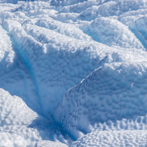 2017-01-03 - Het lijken wel de putjes in een golfbal<br/>Cierva Cove - Antarctica<br/>Canon EOS 7D Mark II - 400 mm - f/7.1, 1/800 sec, ISO 100