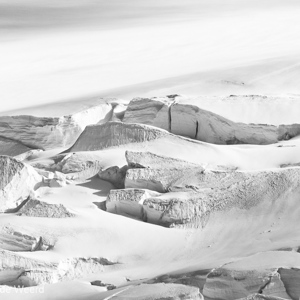 2017-01-04 - 50 tinten wit<br/>Half Moon Island - South Shetland Islands - Antarctica<br/>Canon EOS 7D Mark II - 400 mm - f/8.0, 1/4000 sec, ISO 800