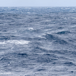 2017-01-06 - De beruchte Drake Passage viel ons mee<br/>Drake Passage - Antarctica<br/>Canon EOS 7D Mark II - 100 mm - f/8.0, 1/1600 sec, ISO 800