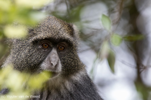 Arusha National Park