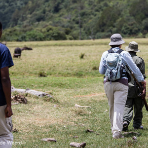 2015-10-16 - Wandelsafari met bewapende gids<br/>Arusha National Park - Arusha - Tanzania<br/>Canon EOS 7D Mark II - 98 mm - f/4.0, 1/1000 sec, ISO 100