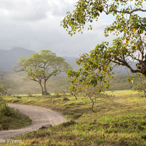 2015-10-16 - Mooi zacht zonlicht<br/>Arusha National Park - Arusha - Tanzania<br/>Canon EOS 5D Mark III - 61 mm - f/8.0, 0.02 sec, ISO 200