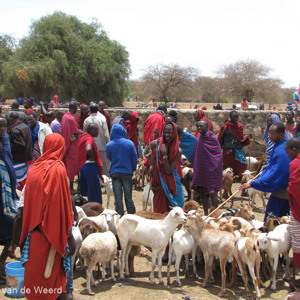 2015-10-17 - Markt taferelen<br/>Onderweg - Arusha - Tanzania<br/>Canon PowerShot SX1 IS - 10.7 mm - f/4.0, 1/400 sec, ISO 80