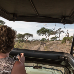 2015-10-17 - Ons uitzicht vanuit de 4x4 met open dak<br/>Tarangire National Park - Arusha - Babati - Tanzania<br/>Canon EOS 5D Mark III - 31 mm - f/8.0, 1/125 sec, ISO 200