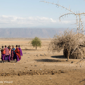 2015-10-19 - De Masai bij hun hutten dorpje<br/>Masai dorp - Mto Wa Mbu - Tanzania<br/>Canon EOS 5D Mark III - 50 mm - f/5.6, 1/500 sec, ISO 200
