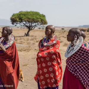 2015-10-19 - Masai vrouwen<br/>Masai dorp - Mto Wa Mbu - Tanzania<br/>Canon EOS 5D Mark III - 70 mm - f/4.0, 1/1000 sec, ISO 200