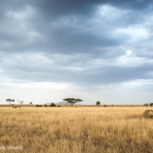 2015-10-19 - Donkere wolken boven de vlakte<br/>Serengeti National Park - Tanzania<br/>Canon EOS 5D Mark III - 36 mm - f/8.0, 1/8 sec, ISO 200